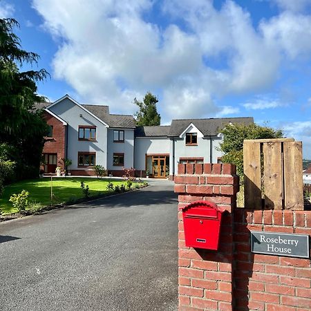 Bed and Breakfast Roseberry House à Newcastle Emlyn Extérieur photo